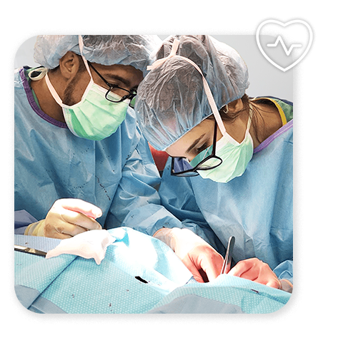 Bariatric Surgeon Proctoring
