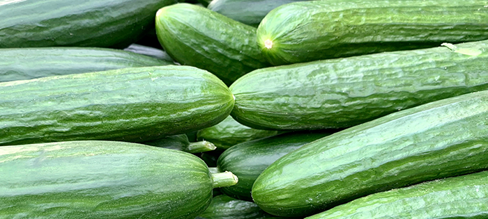 Cucumbers Promote Weight Loss