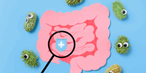 Gut Microbiota in Obesity