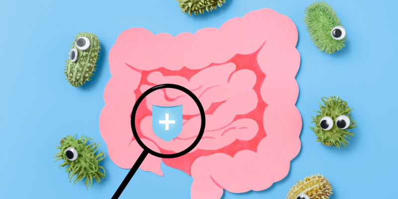 Gut Microbiota in Obesity
