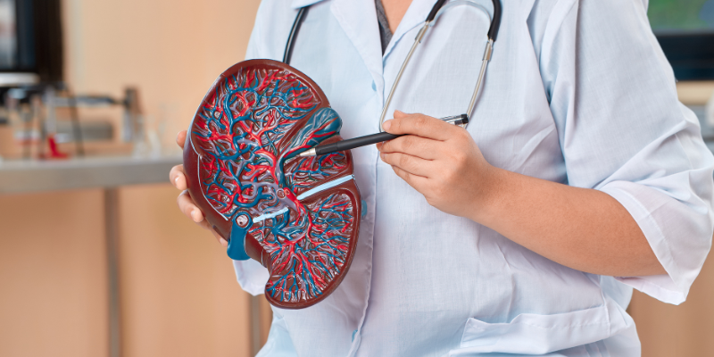 Fatty Liver Disease and Obesity