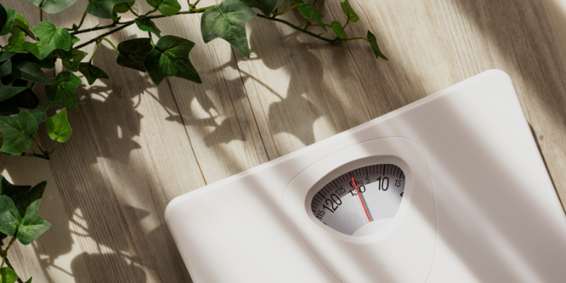 inflammation and obesity